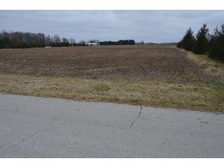 Property photo 29 - 175 Acres Offered in 5 Tracts - Tontogany, Ohio Farm Land Auction